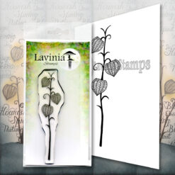 Fairy Lantern LAV587