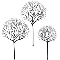 Skeleton Tree Scene LAV530