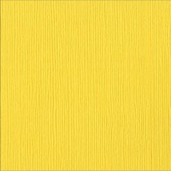 Bazzill - Fourz - African Daisy