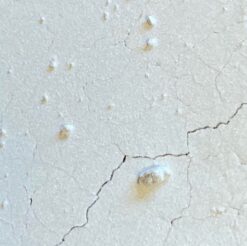 Mica Powder - Artic White