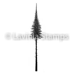 Fairy Fir Tree LAV478