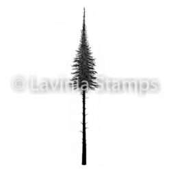 Small Fairy Fir Tree LAV489