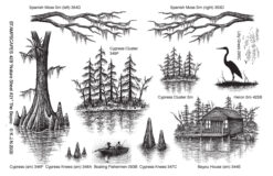 Nature Sheet 21, The Bayou