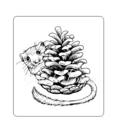 Mouse & Pinecone A7 stamp