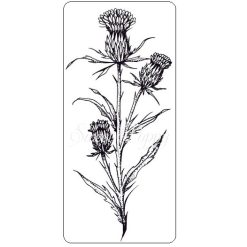 Thistle Stem Stamp
