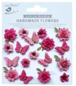 Cloria - Rosy Note (18 pk)