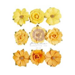 Prima - Warm Sunshine, In Full Bloom flowers