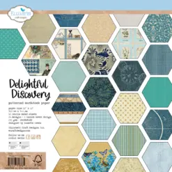 Delightful Discovery Paperpack C041