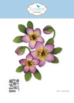 Lenten Rose die 2347
