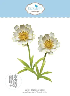 Blackfoot Daisy die 2378