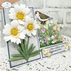 Blackfoot Daisy die 2378 - Bilde 5