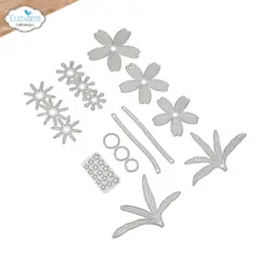 Blackfoot Daisy die 2378 - Bilde 4