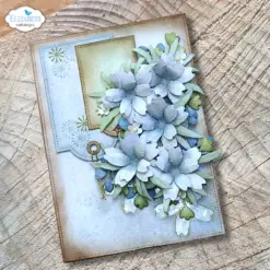 Blackfoot Daisy die 2378 - Bilde 8