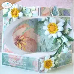 Blackfoot Daisy die 2378 - Bilde 7