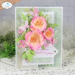 Wild Poppy die 2376 - Bilde 8