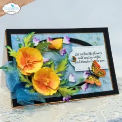 Wild Poppy die 2376 - Bilde 12