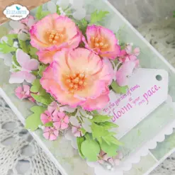 Wild Poppy die 2376 - Bilde 15
