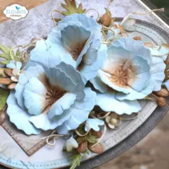 Wild Poppy die 2376 - Bilde 13
