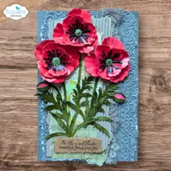 Wild Poppy die 2376 - Bilde 7